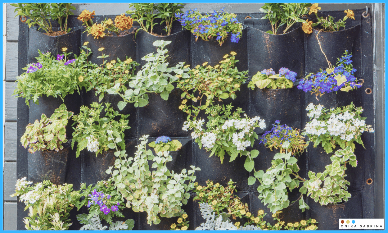 Apartment Gardening